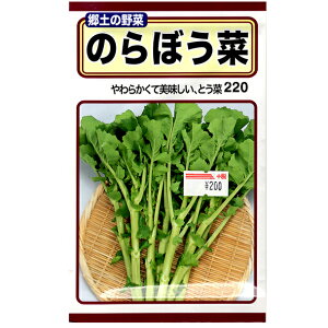 g[zN@؂̎/q@̂ڂ؁@e10ml@ iǐՉ\[֔@Sꗥ370~j05208