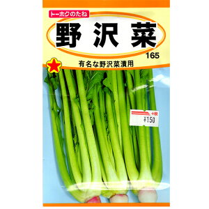 g[zN@؂̎/q@؁@e10ml@ iǐՉ\[֔@Sꗥ370~j01026