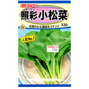 g[zN@؂̎/q@ƍʏ؁@e8ml@ iǐՉ\[֔@Sꗥ370~j04881