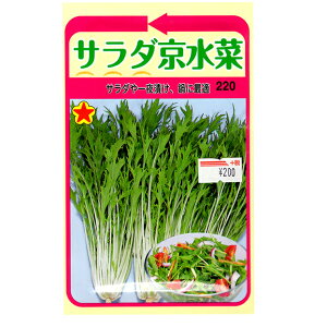 g[zN@؂̎/q@T_؁@e10ml@ iǐՉ\[֔@Sꗥ370~j01065