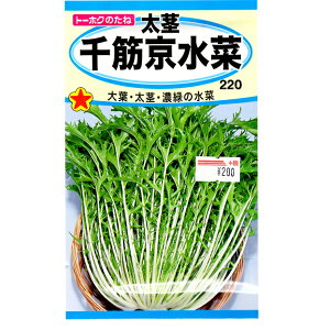 g[zN@؂̎/q@s؋؁@e10ml@ iǐՉ\[֔@Sꗥ370~j01060