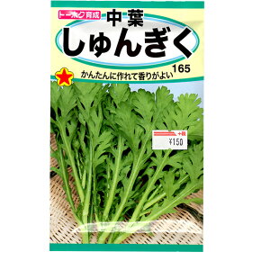 g[zN@؂̎/q@t񂬂@e25ml@ iǐՉ\[֔@Sꗥ370~j01115