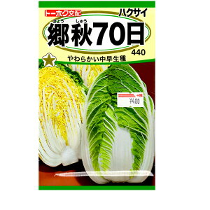 g[zN@؂̎/q@؁@nNTC@D70@e3ml@ iǐՉ\[֔@Sꗥ370~j07530