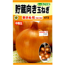 楽天市場 玉ねぎ 種子の通販