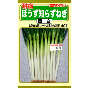 g[zN@؂̎/q@˂@ϕaڂm炸˂@֔@e2ml@iǐՉ\[֔@Sꗥ370~j02228