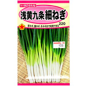 g[zN@؂̎/q@˂@󉩋ׂ˂@e7ml@iǐՉ\[֔@Sꗥ370~j02373