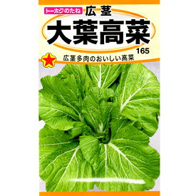 楽天市場 高菜 種の通販 楽天市場 高菜 種の通販