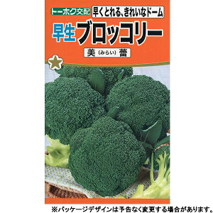 g[zN@؂̎/q@ubR[@ubR[@Q@e1ml@iǐՉ\[֔@Sꗥ370~j03544