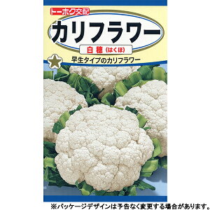 g[zN@؂̎/q@Jt[@@e1ml@@iǐՉ\[֔@Sꗥ370~j03430