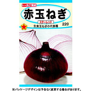 g[zN@؂̎/q@ʂ˂@ԋʂ˂@X^[bh@e4ml@iǐՉ\[֔@Sꗥ370~j08608