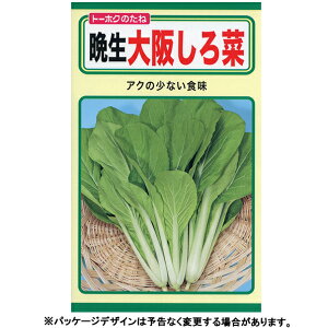 g[zN@؂̎/q@Ӑサ؁@e8ml@@iǐՉ\[֔@Sꗥ370~j01049