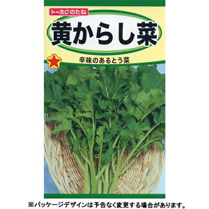 g[zN@؂̎/q@炵؁@炵؁@e12ml@@iǐՉ\[֔@Sꗥ370~j05141