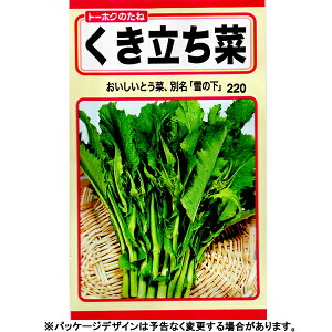 g[zN@؂̎/q@̉@؁@e10ml@@iǐՉ\[֔@Sꗥ370~j05095