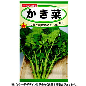 g[zN@؂̎/q@؁@e10ml@ iǐՉ\[֔@Sꗥ370~j05080