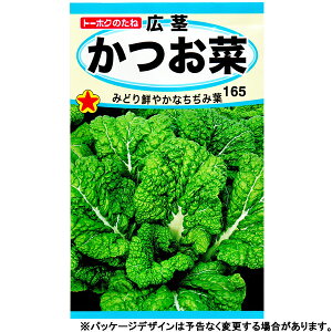 g[zN@؂̎/q@؁@؁@e7ml@ iǐՉ\[֔@Sꗥ370~j05160