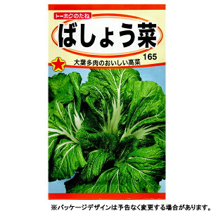 g[zN@؂̎/q@؁@΂傤؁@e10ml@ iǐՉ\[֔@Sꗥ370~j05437