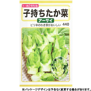 g[zN@؂̎/q@؁@q؁@A[TC@e4ml@iǐՉ\[֔@Sꗥ370~j04975