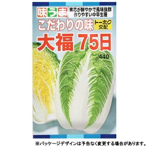 g[zN@؂̎/q@؁@܁@̖@啟75@e2ml@ iǐՉ\[֔@Sꗥ370~j07537