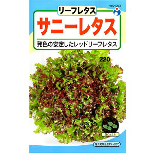 E^l@؂̎/q@^X@[t^X@Tj[^X@e2.5ml@ iǐՉ\[֔@Sꗥ370~j04053