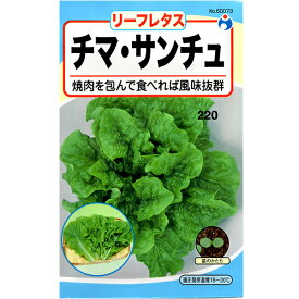 楽天市場 野菜種 サンチュの通販