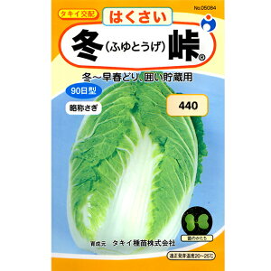 E^l@؂̎/q@؁@͂@~@e1.5ml@ iǐՉ\[֔@Sꗥ370~j05084