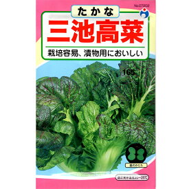 楽天市場 高菜 種の通販 楽天市場 高菜 種の通販