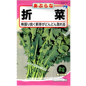 E^l@؂̎/q@Ԃ؁@܍؁@e10ml@ iǐՉ\[֔@Sꗥ370~j06174