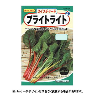 E^l@؂̎/q@@uCgCg@ӂ؁@XCX`[h@e4ml@@iǐՉ\[֔@Sꗥ370~j60154