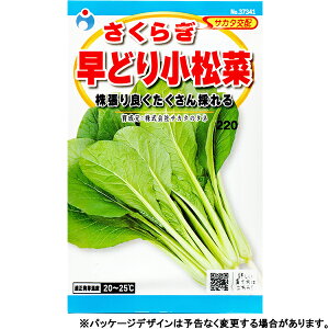 E^l@؂̎/q@܂ȁ@炬@ǂ菬؁@e3.5ml@ iǐՉ\[֔@Sꗥ370~j37341