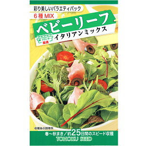 g[zN@؂̎/q@xr[[t@C^A~bNX@e9ml@@iǐՉ\[֔@Sꗥ370~j07922