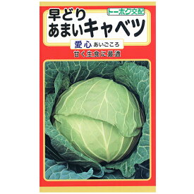 トーホク　野菜の種/種子　キャベツ　早どりあまいキャベツ　愛心　種　（追跡可能メール便発送　全国一律370円）03969