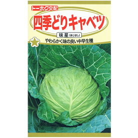 トーホク　野菜の種/種子　キャベツ　四季どりキャベツ　種　（追跡可能メール便発送　全国一律370円）03961