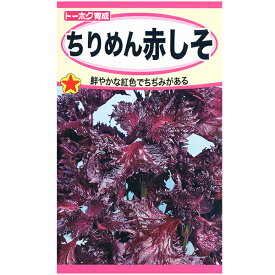 トーホク　野菜の種/種子　赤しそ　ちりめん赤しそ　種　（追跡可能メール便発送　全国一律370円）01385