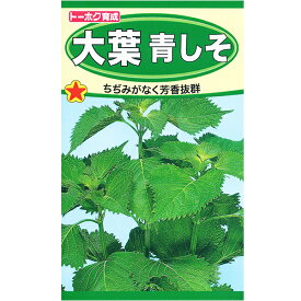 トーホク　野菜の種/種子　大葉　しそ　大葉青しそ　内容量3ml　種　（追跡可能メール便発送　全国一律370円）01330　ちぢみがなく芳香抜群