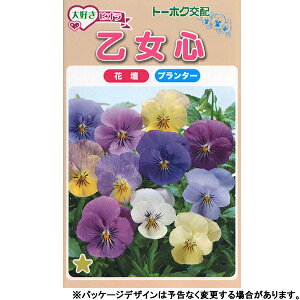 g[zN@Ԃ̎/q@rI@S@e0.2ml@@iǐՉ\[֔@Sꗥ370~j04113