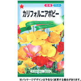トーホク　花の種/種子　カリフォルニアポピー　種　（追跡可能メール便発送　全国一律370円）09660