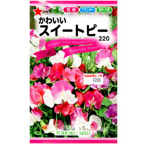 g[zN@Ԃ̎/q@XC[gs[@킢XC[gs[@e3ml@@iǐՉ\[֔@Sꗥ370~j00420