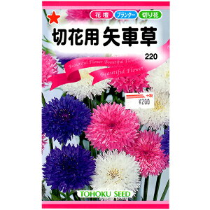 g[zN@Ԃ̎/q@؉ԗpԑ@e2ml@ iǐՉ\[֔@Sꗥ370~j00214