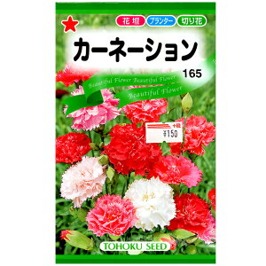 g[zN@Ԃ̎/q@J[l[V@e0.5ml@ iǐՉ\[֔@Sꗥ370~j00584