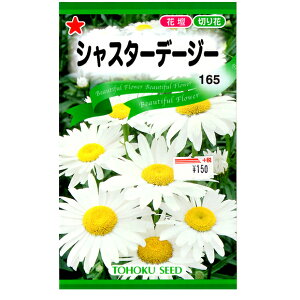 g[zN@Ԃ̎/q@f[W[@VX^[f[W[@e1ml@@iǐՉ\[֔@Sꗥ370~j09141