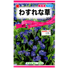 g[zN@Ԃ̎/q@킷ȑ@e0.2ml@@iǐՉ\[֔@Sꗥ370~j00898