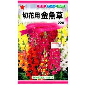 楽天市場 金魚 の 草の通販