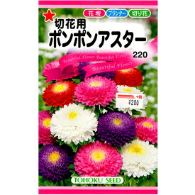 楽天市場 アスター種の通販