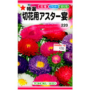 g[zN@Ԃ̎/q@AX^[@I؉ԗpAX^[@e1ml@ iǐՉ\[֔@Sꗥ370~j00693