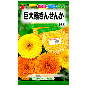 g[zN@Ԃ̎/q@ւ񂹂񂩁@e3ml@ iǐՉ\[֔@Sꗥ370~j00243