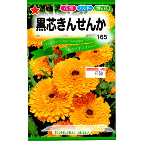 g[zN@Ԃ̎/q@c񂹂񂩁@e3ml@ iǐՉ\[֔@Sꗥ370~j00252