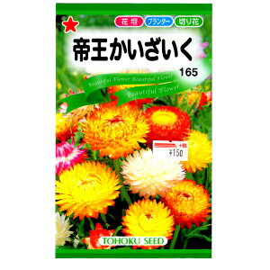 g[zN@Ԃ̎/q@鉤@e1ml@ iǐՉ\[֔@Sꗥ370~j00225