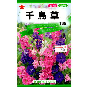 g[zN@Ԃ̎/q@璹@e1ml@ iǐՉ\[֔@Sꗥ370~j00323