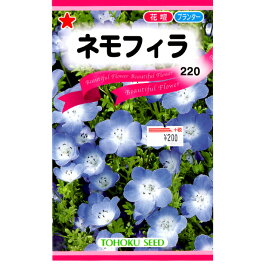 楽天市場 ネモフィラ種の通販