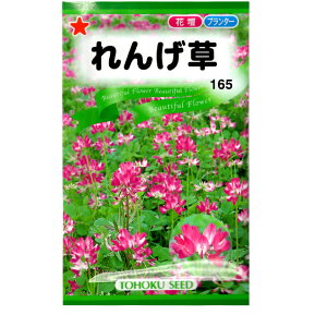 g[zN@Ԃ̎/q@񂰑@e25ml@ iǐՉ\[֔@Sꗥ370~j00998